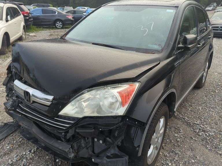 2009  HONDA  CR-V  5J6RE38599L033403
