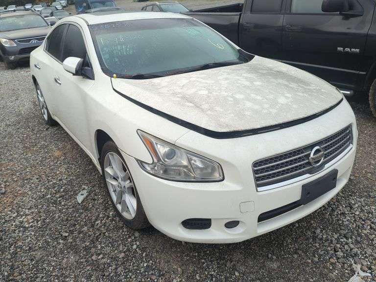 2009  NISSAN  Maxima  1N4AA51E09C823800