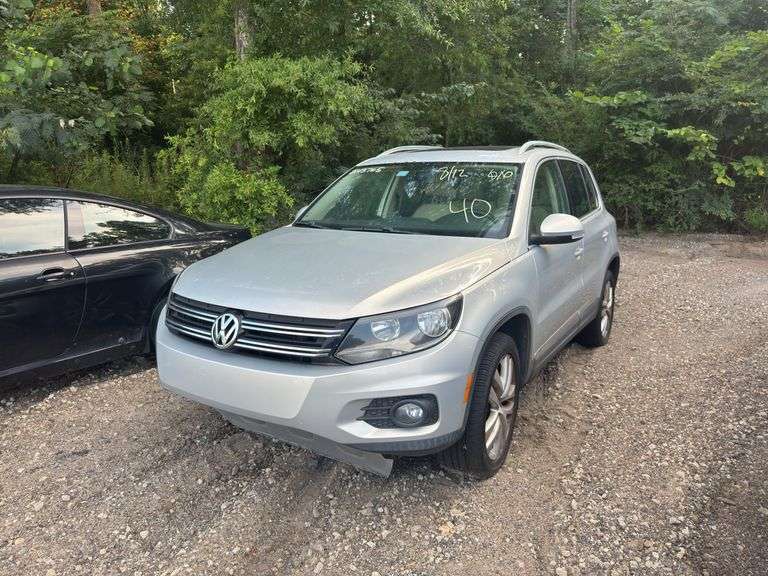 2013  VOLKSWAGEN  Tiguan  WVGBV3AX3DW564005