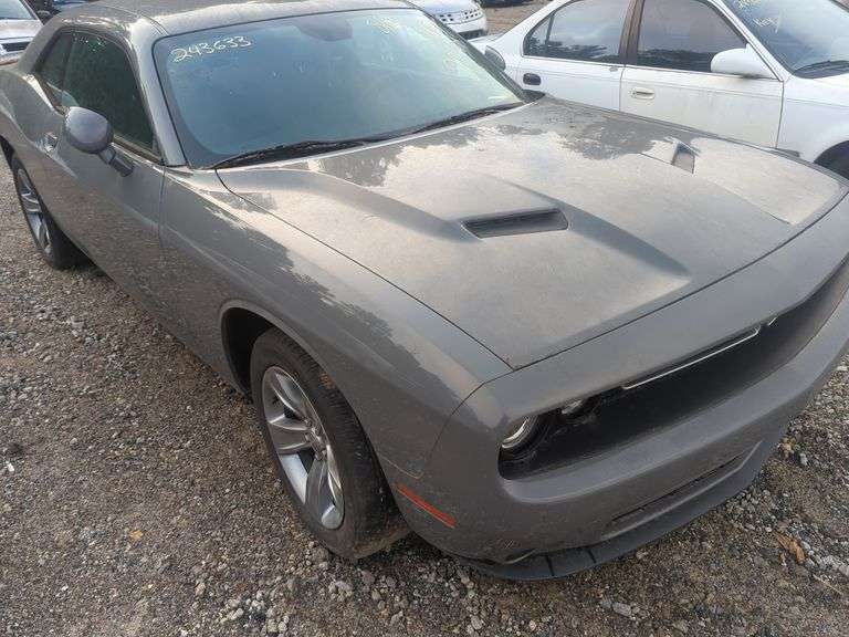 2019  DODGE  Challenger  2C3CDZAG1KH712165