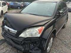 2009  HONDA  CR-V  5J6RE38599L033403