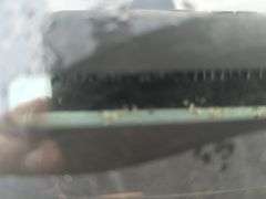 2007  DODGE  Charger  2B3KA43G57H707124