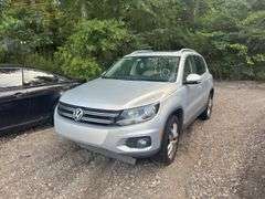 2013  VOLKSWAGEN  Tiguan  WVGBV3AX3DW564005