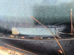 2000  DODGE  Dakota  1B7GL22X3YS691844