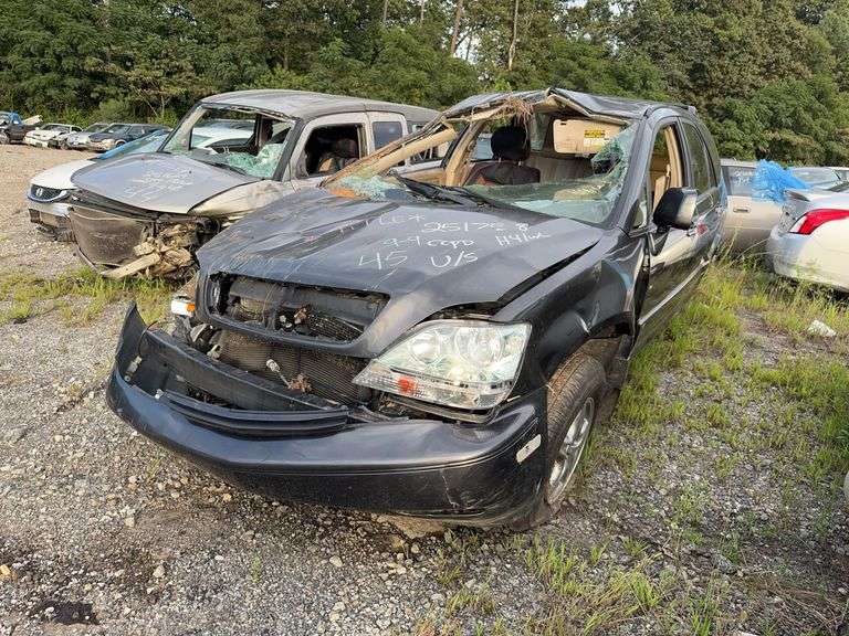 . 2002  LEXUS  RX300  JTJGF10U220139326