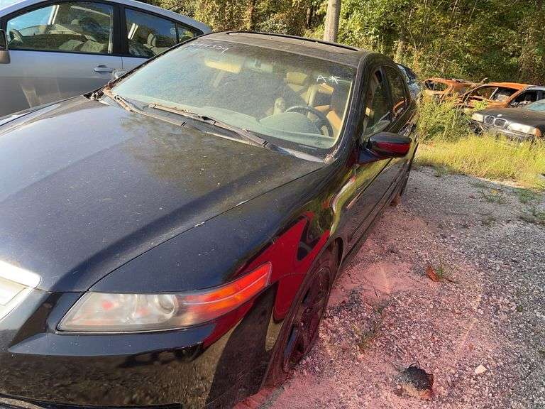 . 2004  ACURA  TL  19UUA66204A010295