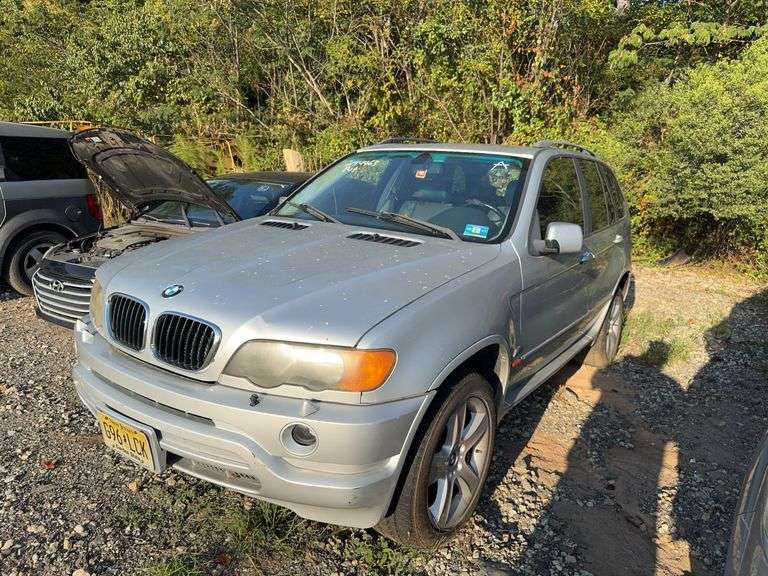 . 2001  BMW  X5  WBAFA53531LP21874